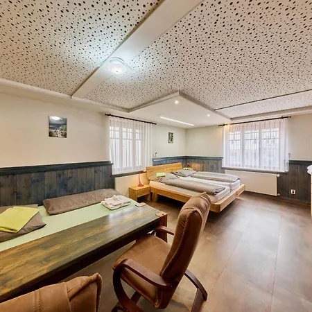 Appartement Roky - Dolni Namesti-1 By Interhome